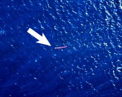 RescueStreamer®, Military - Signaling - Life Support International, Inc.